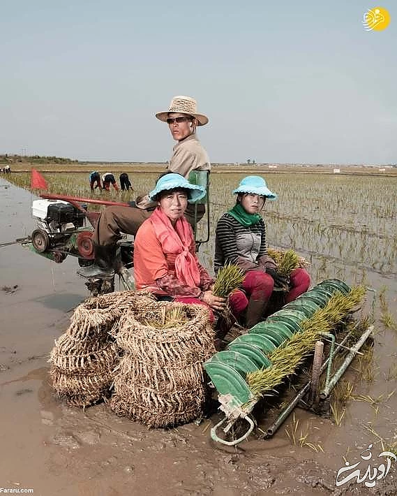 (تصاویر) پرتره‌هایی از مردم معمولی کره شمالی